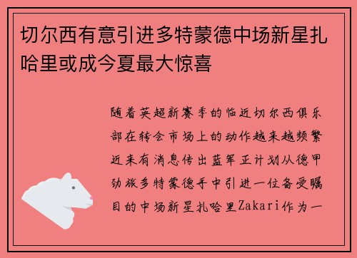 切尔西有意引进多特蒙德中场新星扎哈里或成今夏最大惊喜